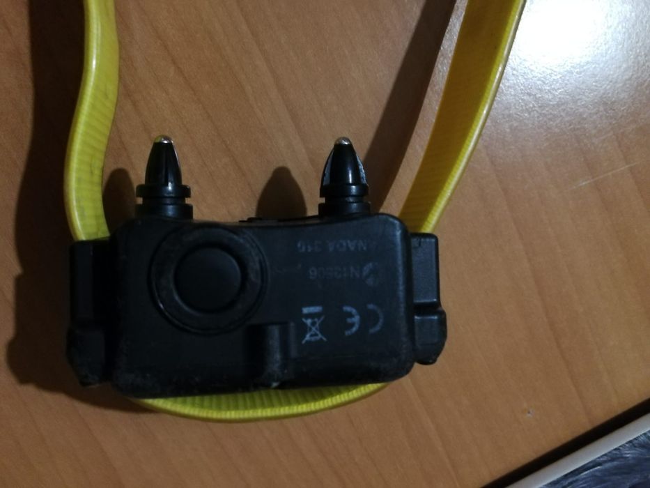 Coleira de ensino para cão