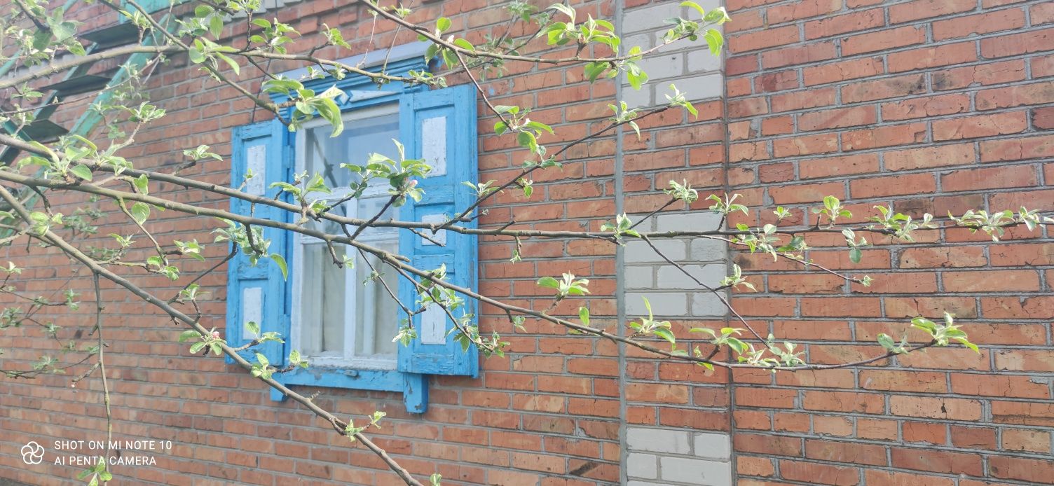 Продам будинок в екологічному місці