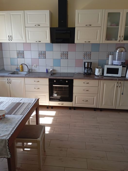 Продам шикарный дом на голубом озере Елизаветовка/Каменское