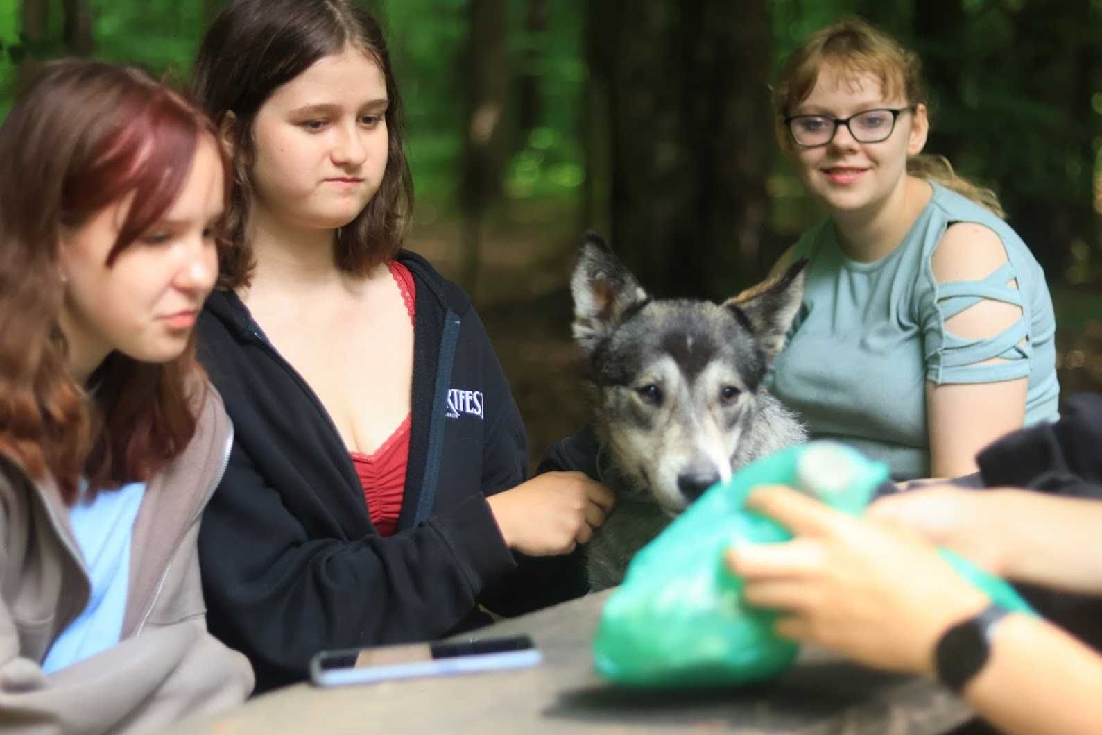 ASTRID - 1,5-roczna, 18kg, łagodna, radosna, kocha psy