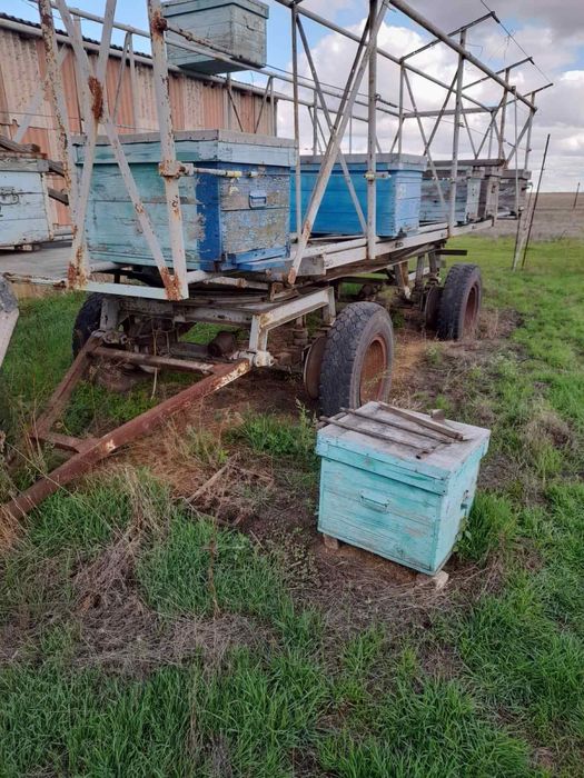 Причеп для пасіки