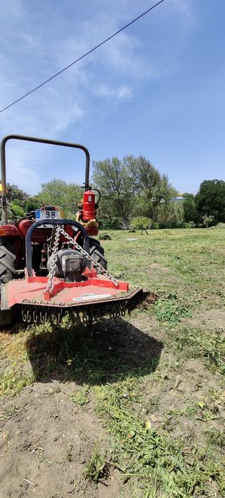 Limpeza de Terrenos e corte de árvores