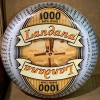 1000 дней Ландана, TM Landana, Голландия