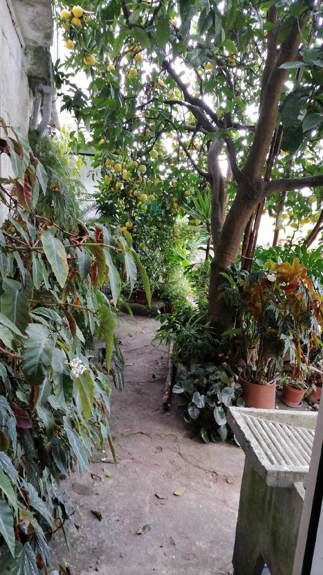 Quartos para meninas estudantes perto da Fac. de Psicologia em Coimbra