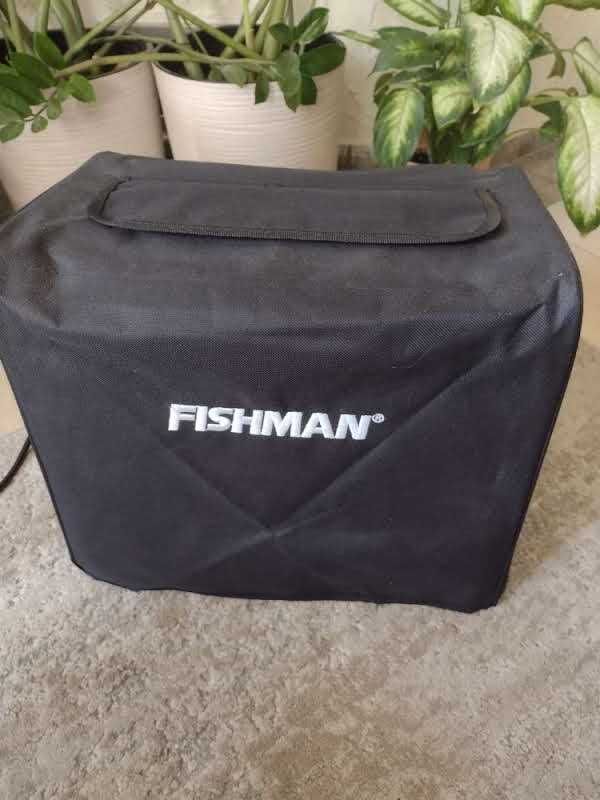 Fishman Loudbox Mini z Bluetooth