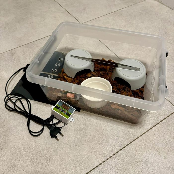 Terrarium, starterbox do hodowli węży