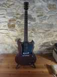Gibson 2010 SG Special
