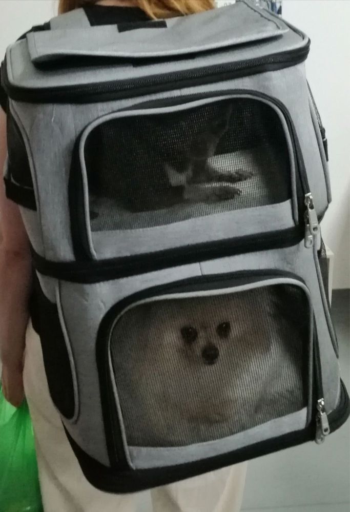 Дышащий двухэтажный рюкзак для домашних животных
