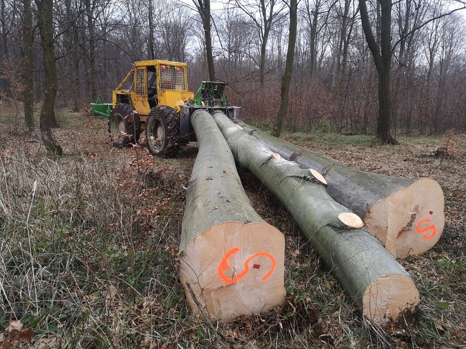 Lkt standard 81 leyland