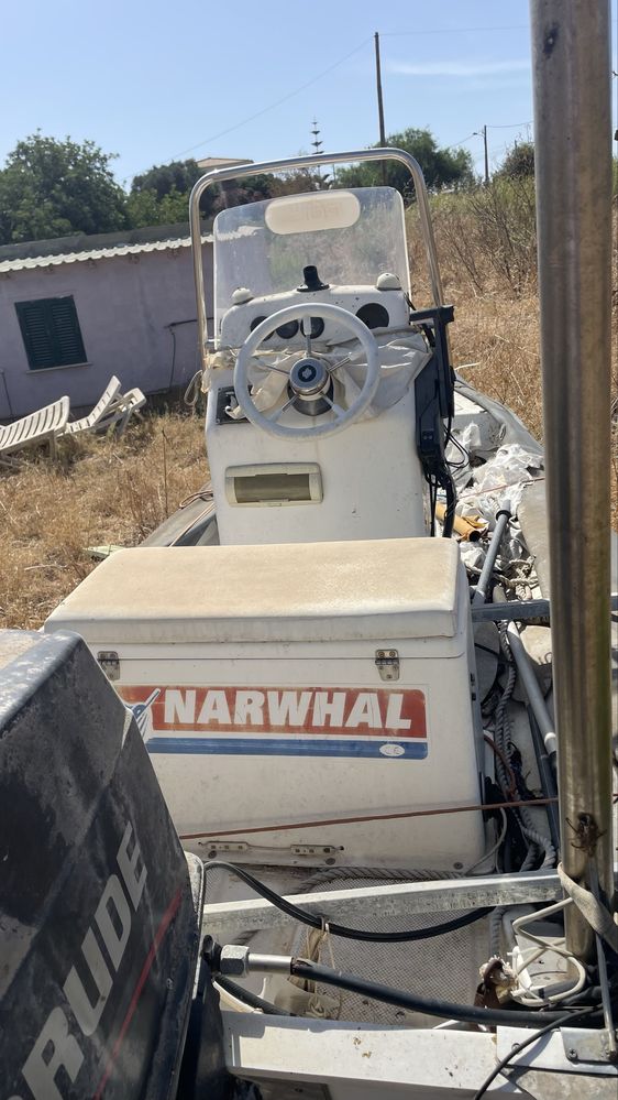 NARWHAL 520H - EVINRUDE 70Cv + Reboque