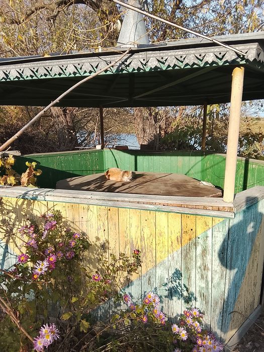 Продається земельна ділянка