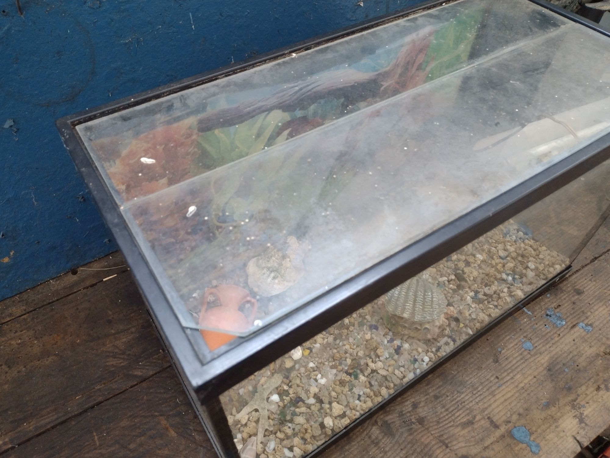 Aquário de vidro para peixes com filtro