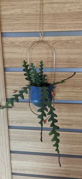 Dwa sztuczne wiszące kwiaty w donicy