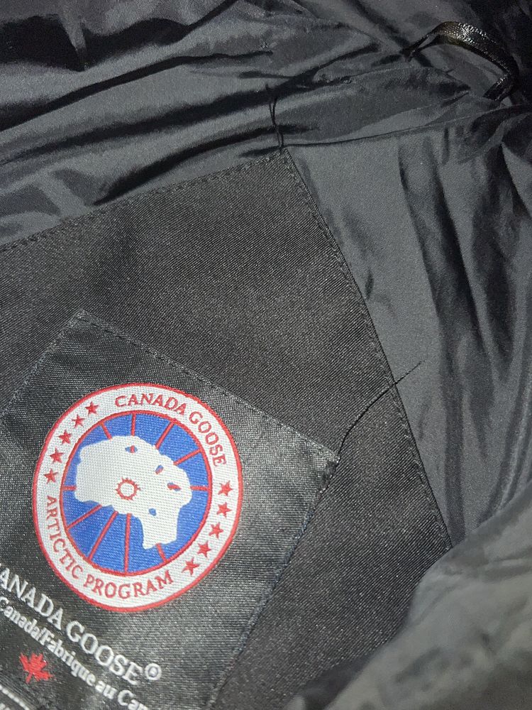Kurtka canada goose