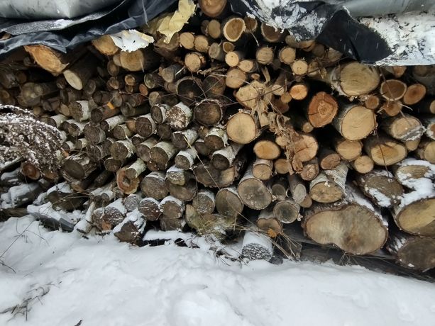 Drewno opałowe Sezonowane, podpałka eco