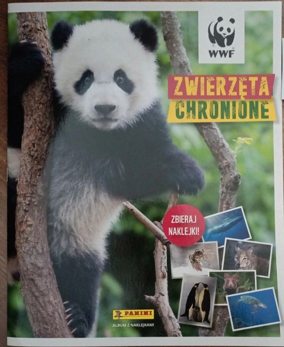 65 naklejka panini wwf