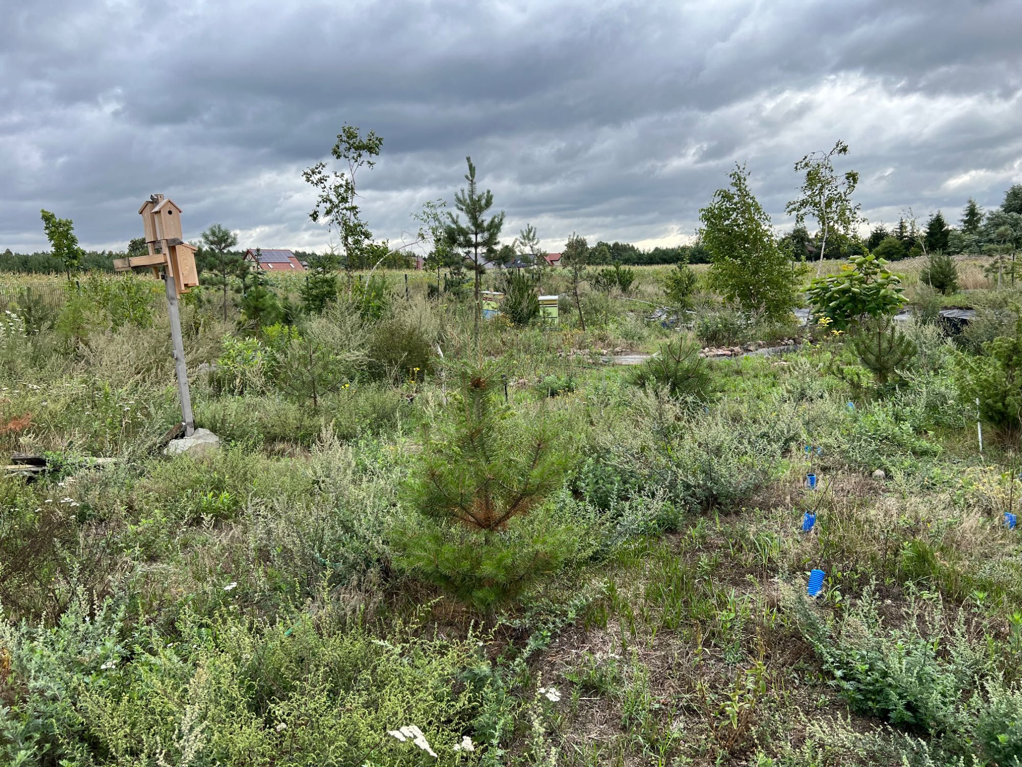 Działka Szembekowo 1000 m2 z warunkami zabudowy ogrodzona brama