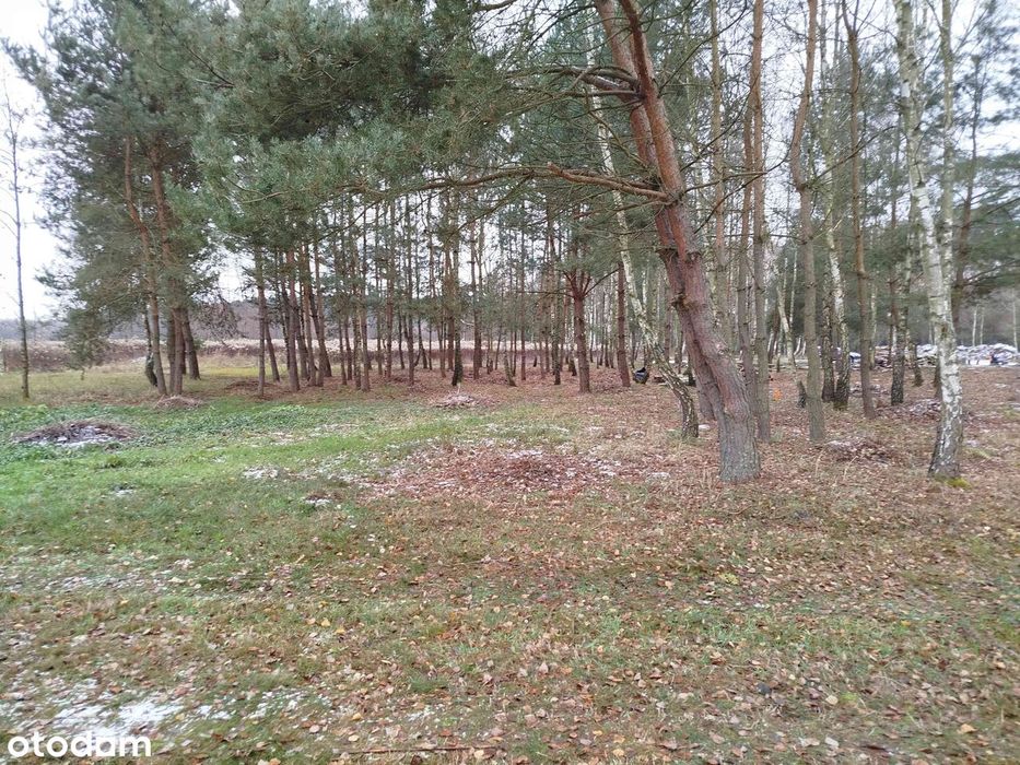 Działka rolno-rekreacyjna na sprzedaż w Luboradów 65km.  Od Wrocławia