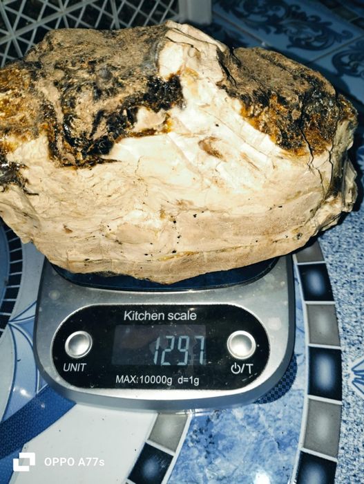 Biały bursztyn gigant unikat 1,3kg