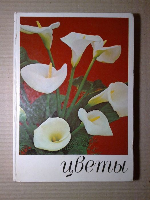 Комнатные растения и декоративно-цветущие кустарники