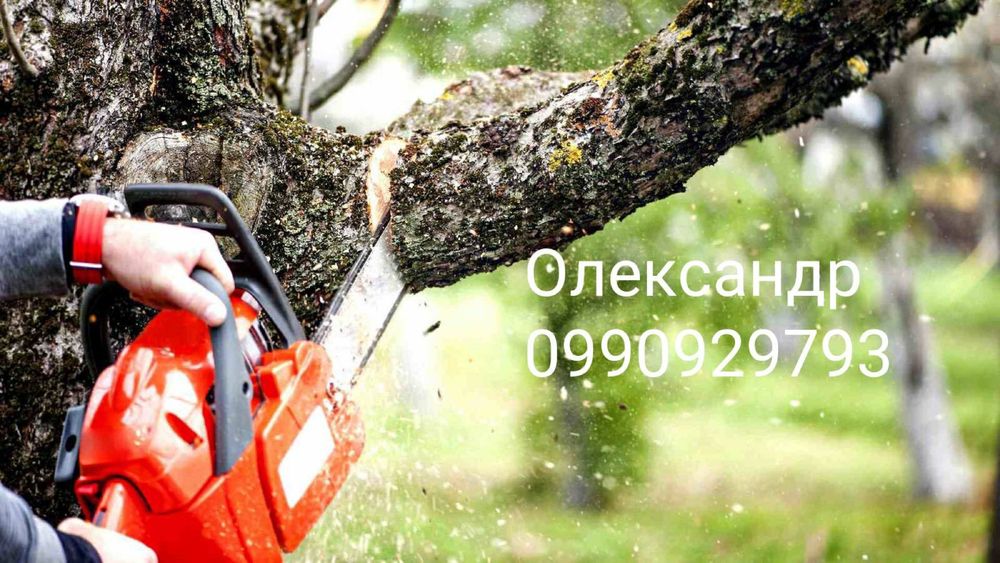 Спилювання дерев, корчування пеньків та інші роботи в саду