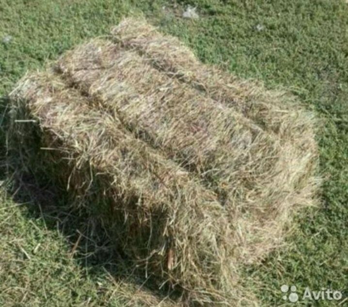 Солома Сіно доставка