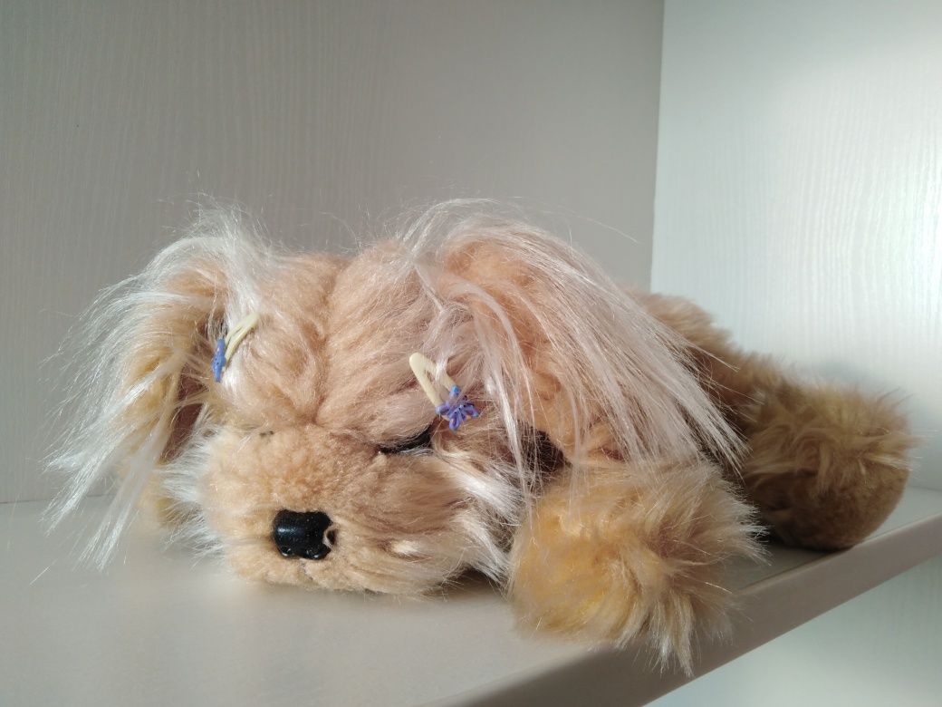 Pies piesek pluszowy maskotka przytulanka York yorkshire terrier