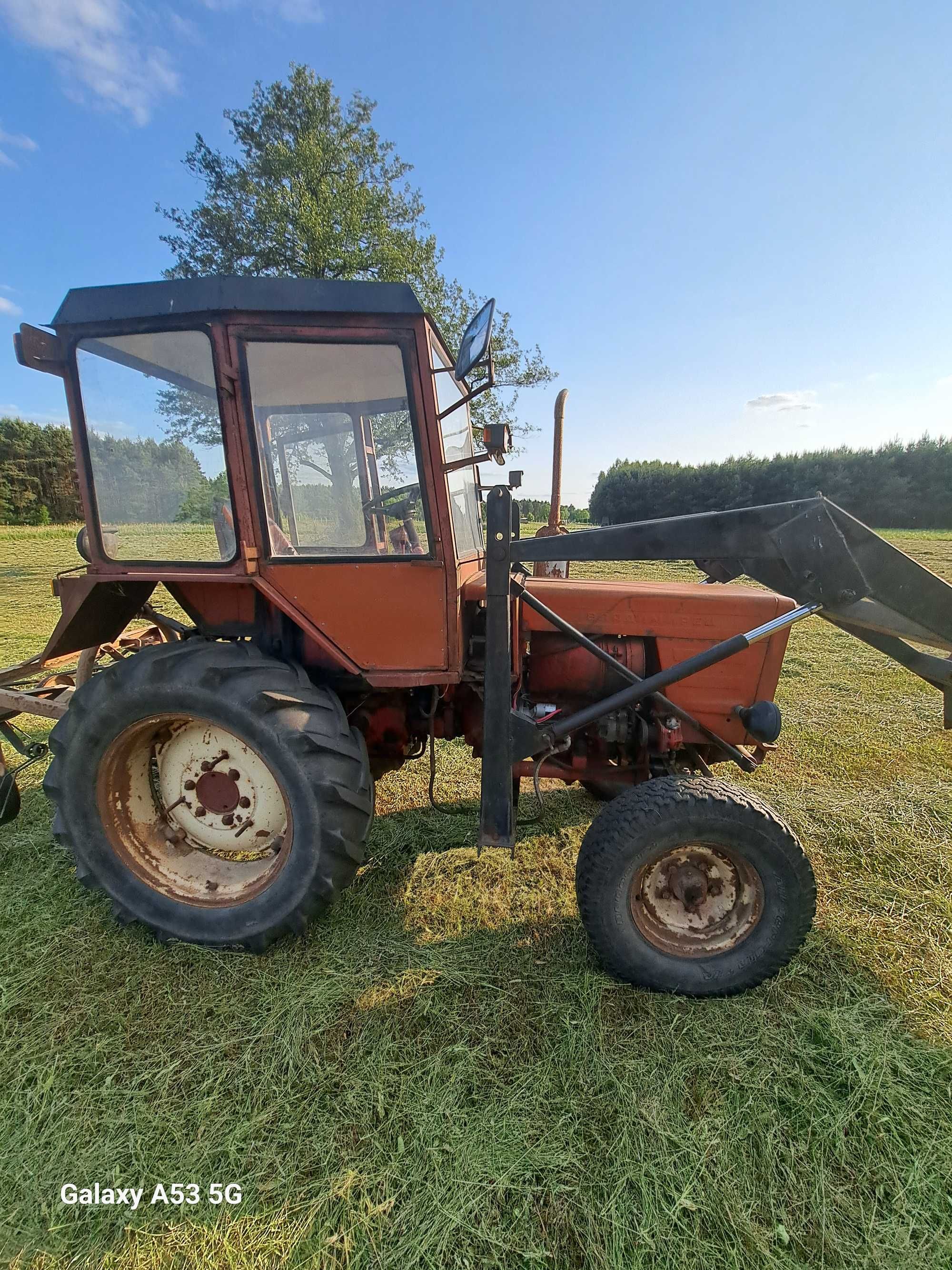 Wladymirec Władymirec T25