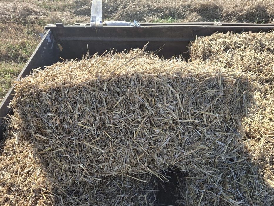 Продам Тюки Солома