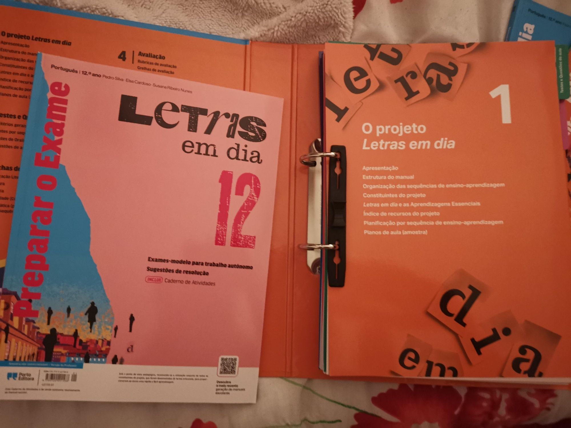 Manual novo  de português 12ano + projeto professor