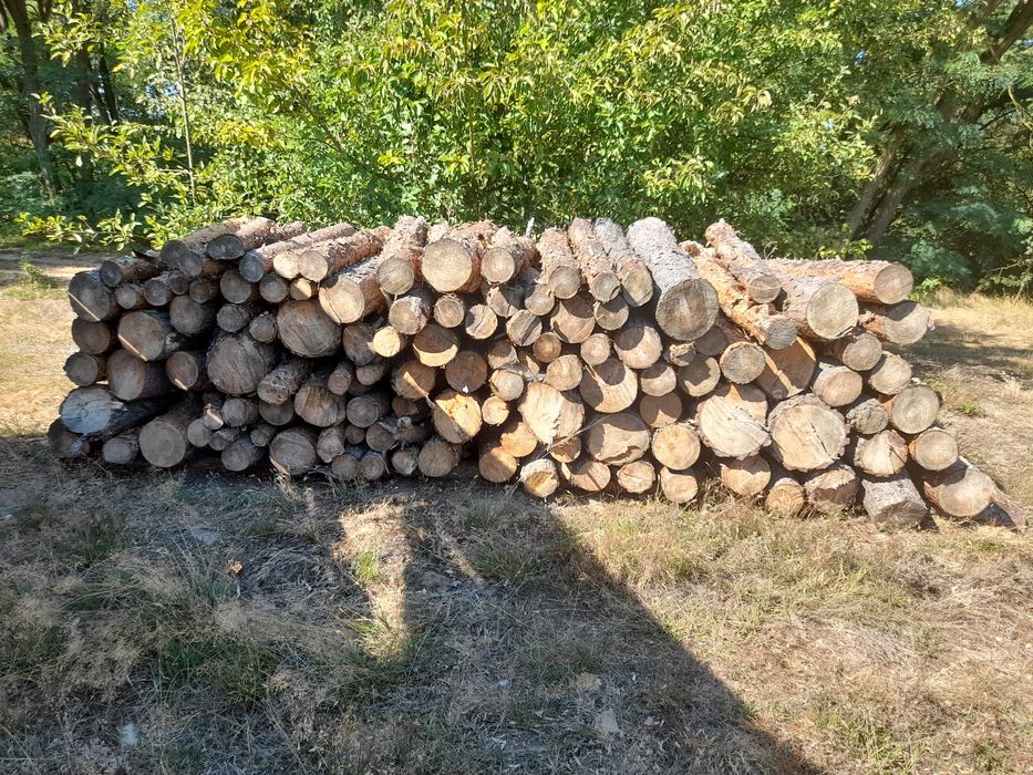 Sprzedam drewno opałowe
