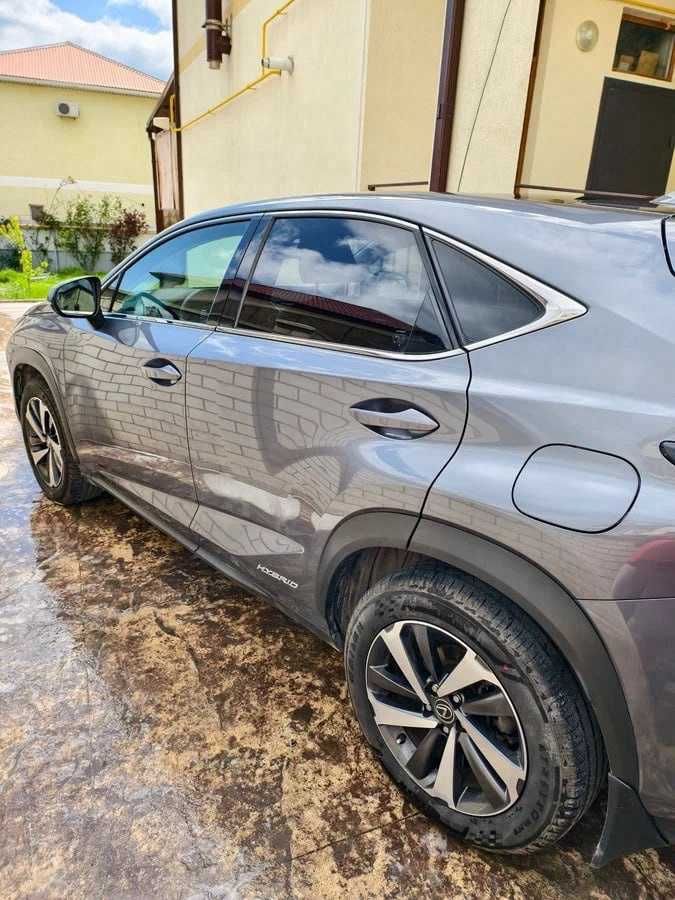 Lexus NX 300h, 2019