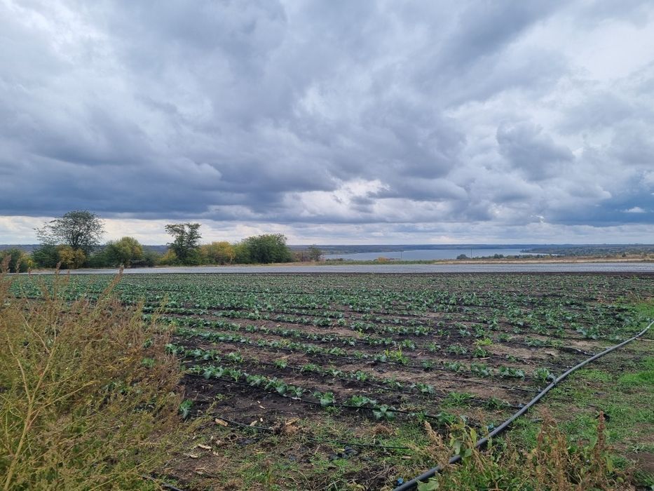 Продаж ділянки 70сот. с.Микільське