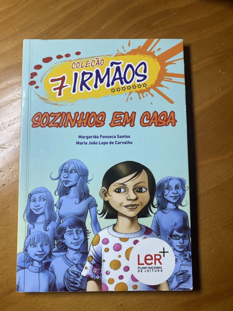Livro da Coleção 7 irmãos