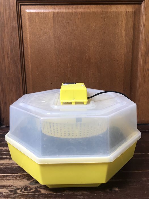 Inkubator Cleo 5