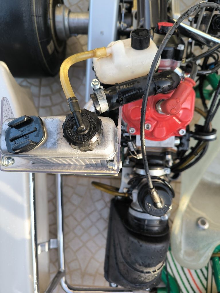 Tony kart 401RR Rotax max