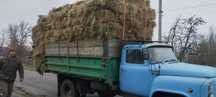 Продам сіно в тюках.