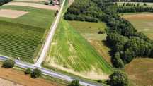 działka rolna 1,24 ha w miejscowości Wola Łagowska