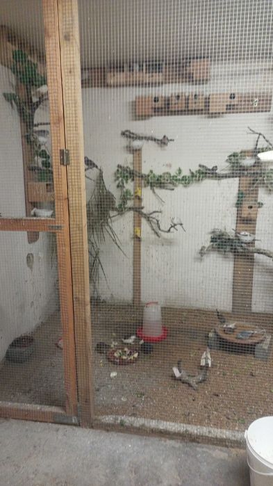 Drobną egzotyka sprzedam