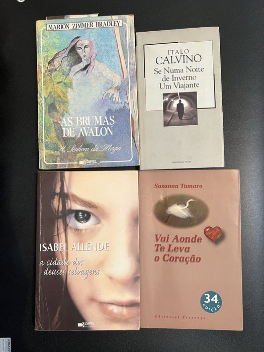 Lote de livros variados