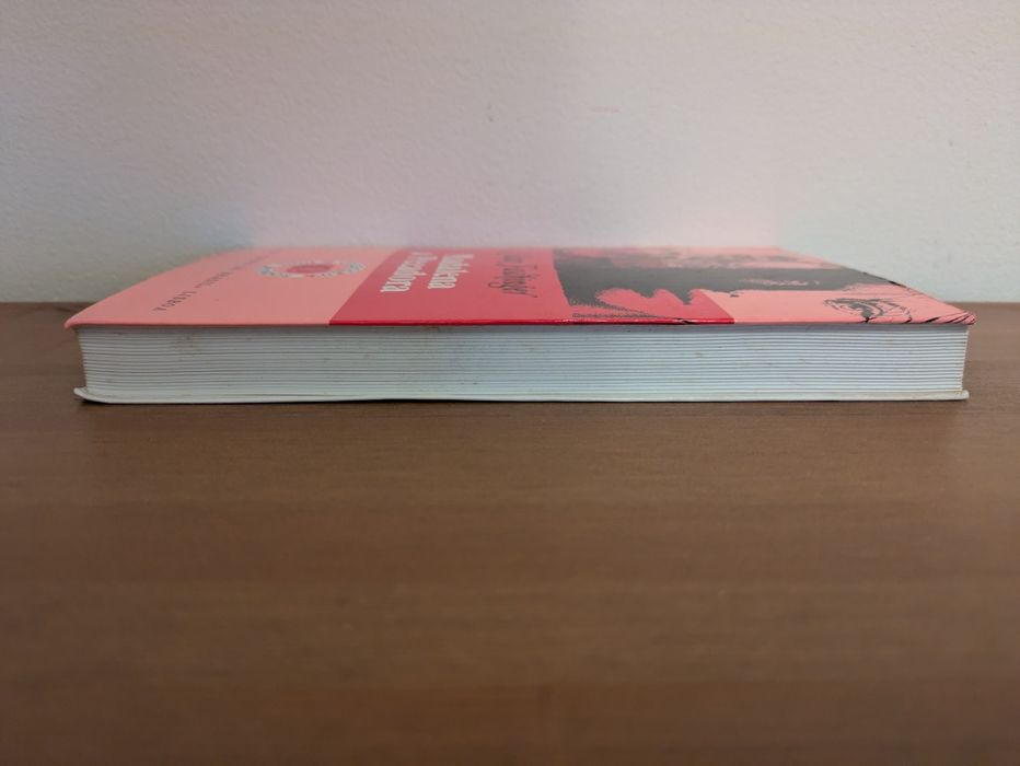 L " Madalena a Pecadora " Lilian Faschinger (Optimo Estado)