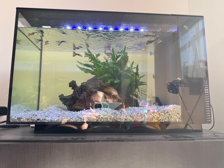 Aquário Fluval com conjunto completo e peixes