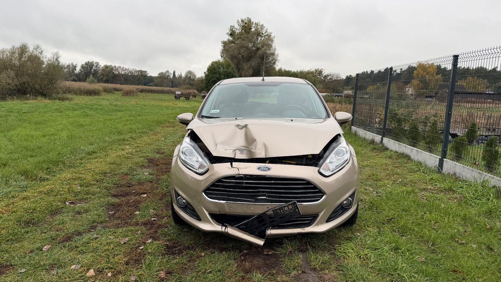 Ford Fiesta Salon Polska