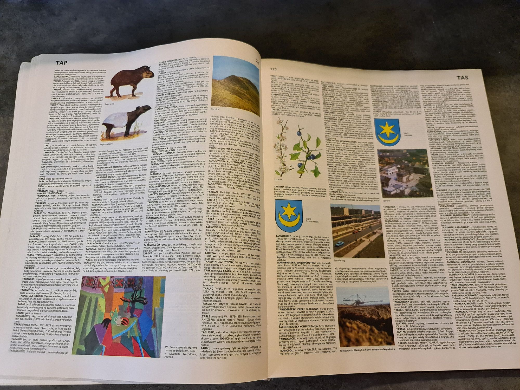 Encyklopedia Popularna PWN 1982 Warszawa