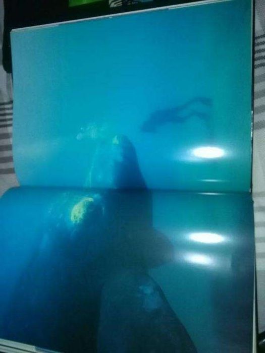 6 livros da Natureza selvagem