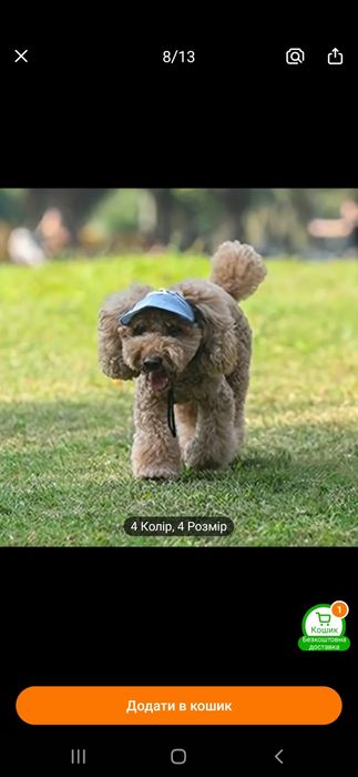 Кепка для собак и кошек S 190грн. Флисовая кофточка для щенят и котят