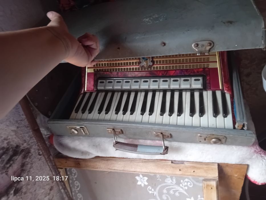 akordeon Weltmeister Gigantilii V 120 basów (czerwony)