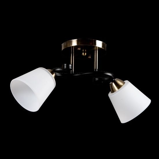 Люстра стельова з плафонами