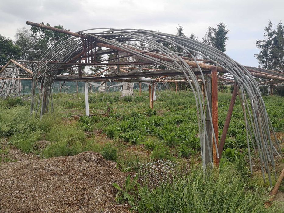 Tunel foliowy ocynk 30x6