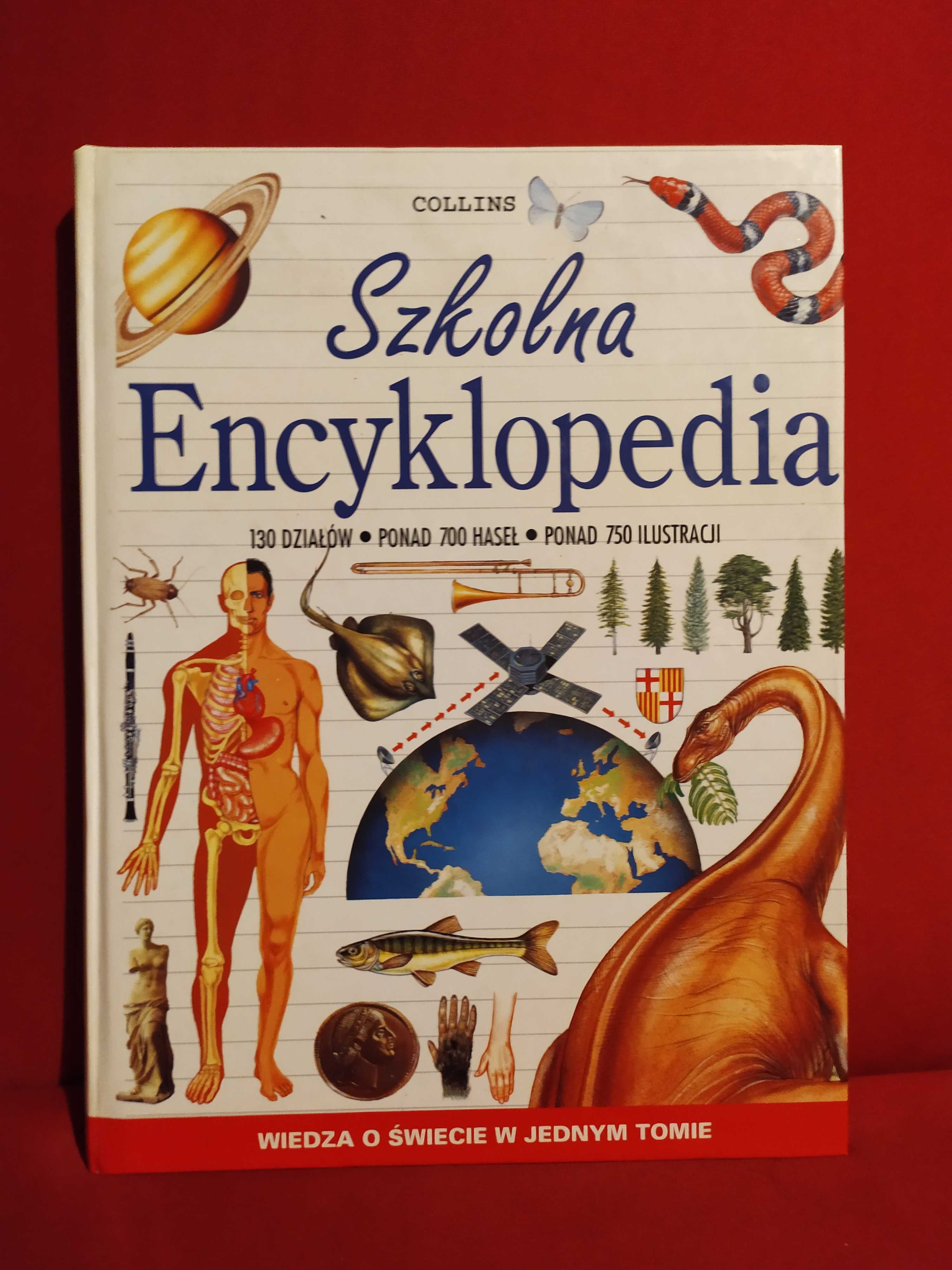 Szkolna encyklopedia - John Farndon